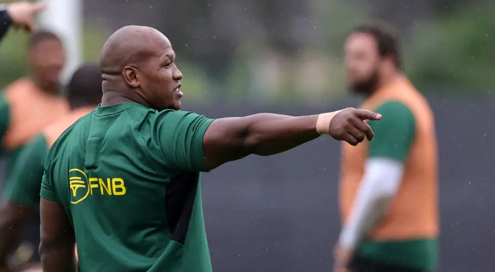 Springboks look into claim by England's Curry of racial slur by